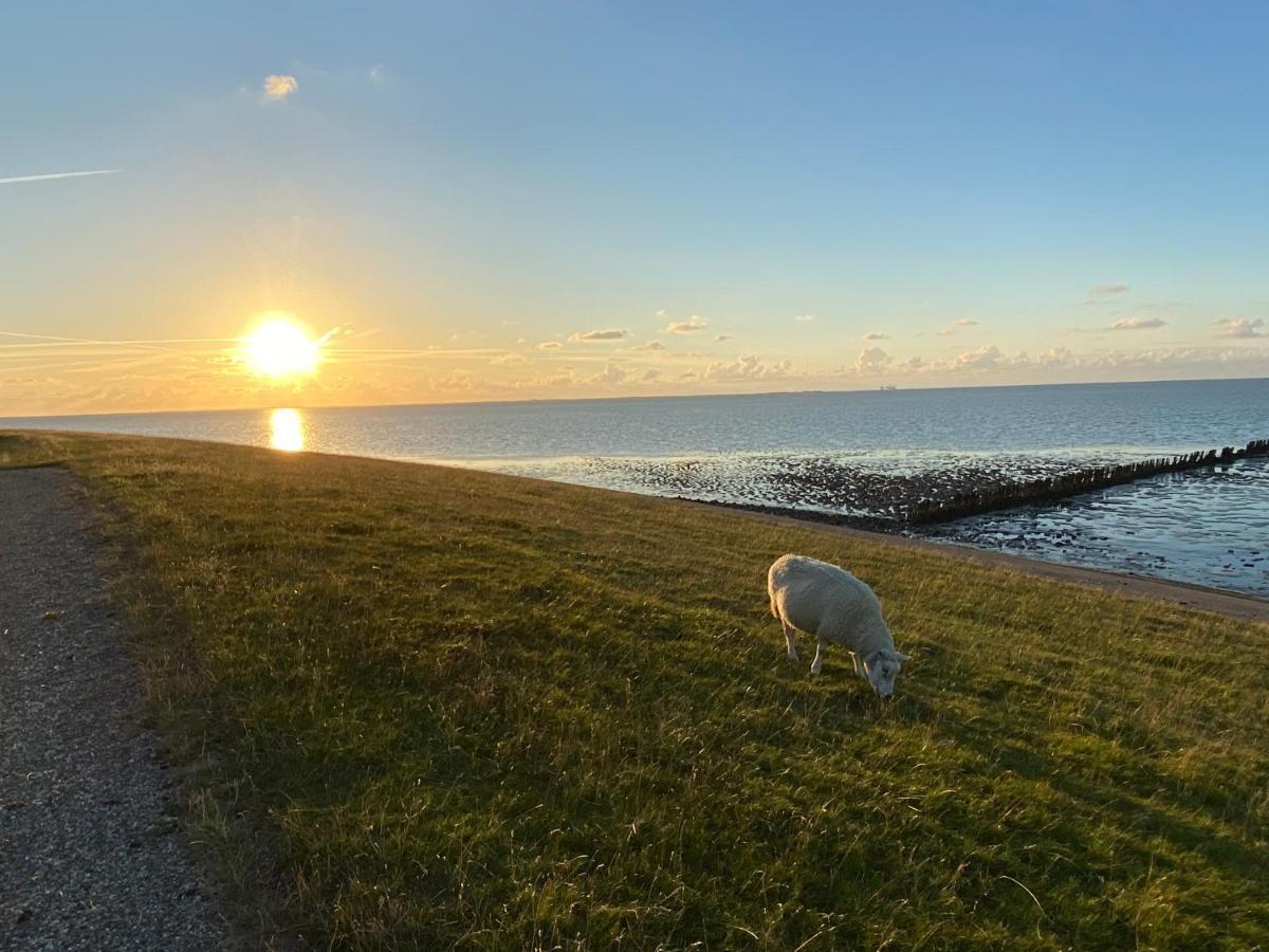 Wierums Huske Aan De Waddenzee Unesco Werelderfgoed Luaran gambar