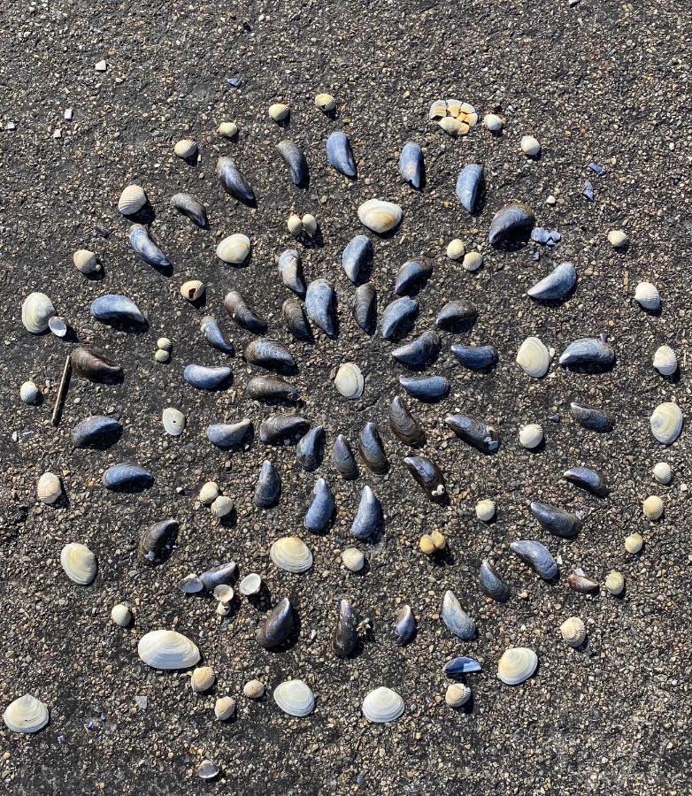 Wierums Huske Aan De Waddenzee Unesco Werelderfgoed Luaran gambar